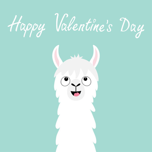 Happy Valentines Day. Llama alpaca animal face looking up. No drama. Cute cartoon funny kawaii smiling character. Childish baby collection. Love greeting card. Flat design. Blue background. Vector