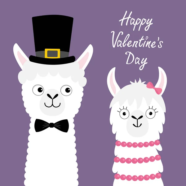 Feliz Dia Dos Namorados Conjunto Animais Llama Alpaca Casal Amor — Vetor de Stock