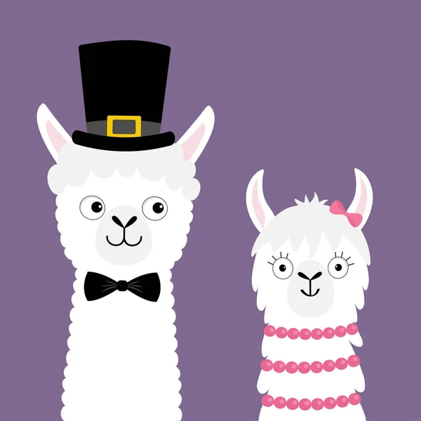 Llama Alpaca Animal Set Love Couple Happy Valentines Day Girl — Stock Vector