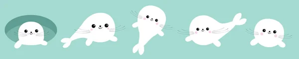 Harp baby seal pup set lijn. Schattige cartoon karakter. Ijs-gat. Happy baby dieren collectie. Blauwe achtergrond. Isolated.Flat ontwerp. — Stockvector