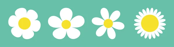 Camomile 设置行。四个白色雏菊洋甘菊图标。可爱圆的花植物收藏。爱情卡符号。成长的概念。扁平设计。绿色背景。孤立. — 图库矢量图片