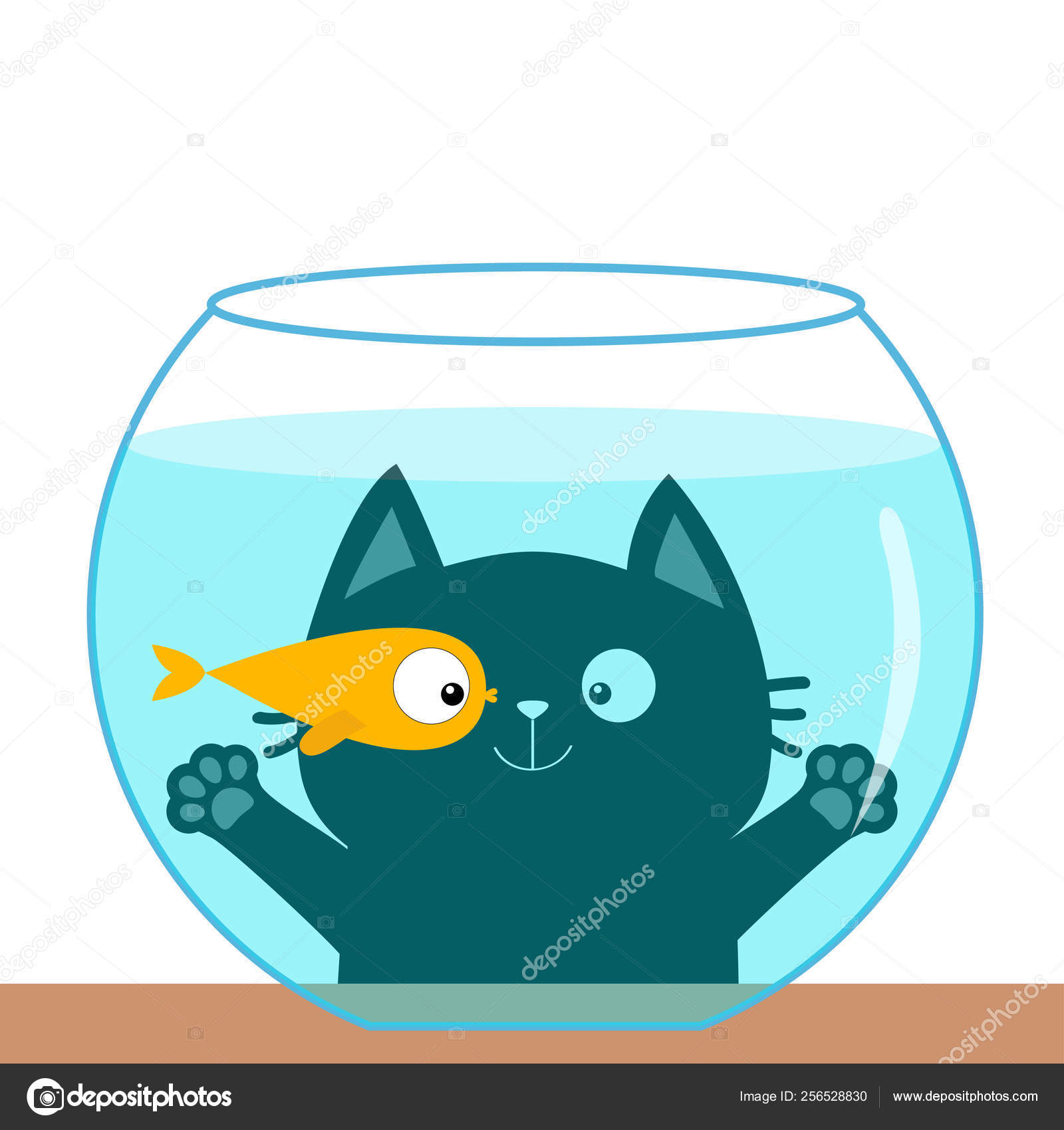 Gato olhando através de vidro de aquário. Brincando com peixes dourados.  Olhos grandes. Peixe-dourado nadador., image size:1600x1700