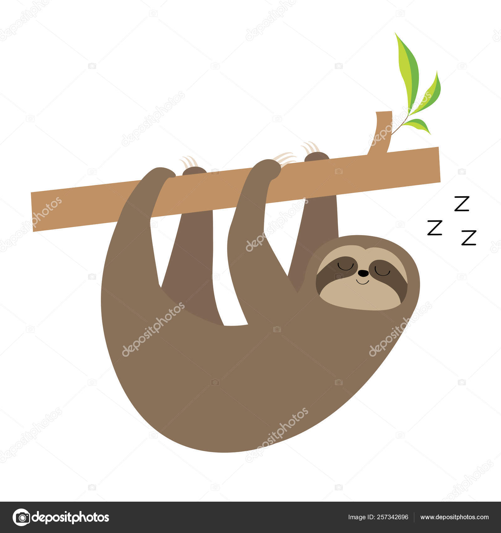 Sovende dovendyr henger på en gren av treet. Søt tegneseriefigur med kawaii  som baby. Villjungeldyrenes samlingsikon. Barnas utdannelse. Isolert. Hvit  bakgrunn. Flate konstruksjoner . stockvektor © worldofvector #257342696, image size:1600x1700