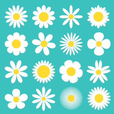 White daisy chamomile icon. Camomile super big set. Cute round flower head plant collection. Love card symbol. Growing concept. Flat design. Green background. Isolated. clipart