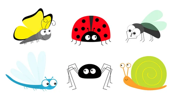 Butterfly Lady bug ladybird Fly Housefly Spider Snail Dragonfly insect icon set. Baby kids collection. Cute cartoon kawaii funny character. Smiling face. Flat design. White background. — Stock Vector