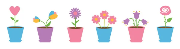 Flor pote set line. Camomila Daisy. Tulipa, sino azul rosa, coração, flores de camomila. Feliz cartão de Dia dos Namorados. Fundo branco —  Vetores de Stock