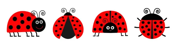 Coccinelle Icône coccinelle mis en ligne. Un drôle d'insecte. Mignon personnage drôle de dessin animé kawaii. Design plat. Fond blanc. Isolé . — Image vectorielle