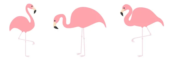 Roze flamingo icon set lijn. Drie exotische tropische vogel. Dierentuin dieren collectie. Schattig cartoon karakter. Één poot. Op de grond kijken. Decoratie-element. Plat ontwerp. Witte achtergrond. — Stockvector