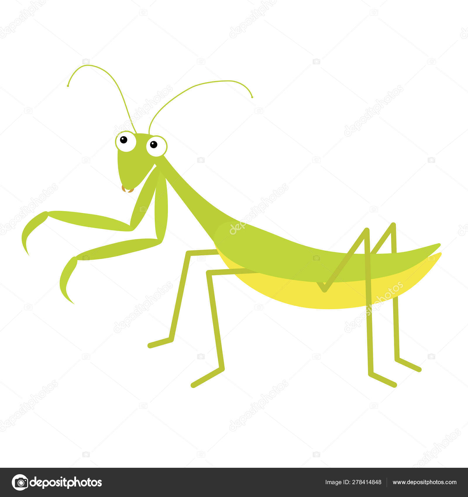 曼蒂斯图标。可爱的卡通卡瓦伊有趣的人物。绿色昆虫被隔离。祈祷的曼蒂德。大眼睛笑脸。平面设计。婴儿剪贴画。白色背景.  图库矢量图©worldofvector 278414848, image size:1600x1700