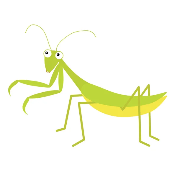 Icône Mantis. Mignon personnage drôle de dessin animé kawaii. Insecte verte isolée. Prier mantide. De grands yeux. Visage souriant. Design plat. Clip art bébé. Fond blanc . — Image vectorielle