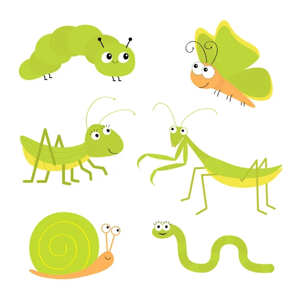 Grüne Insektensymbole gesetzt. Gottesanbeterin, Heuschrecke, Schmetterling, Raupe, Schnecke, Wurm. niedlichen Karikatur kawaii lustige Figur. Vereinzelt. Lächelndes Gesicht. flache Bauweise. Babyclipkunst. weißer Hintergrund. — Stockvektor