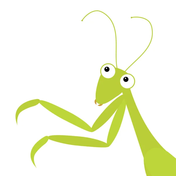 Icône Mantis dans le coin. Mignon personnage drôle de dessin animé kawaii. Insecte verte isolée. Prier mantide. De grands yeux. Visage souriant, jambes. Design plat. Clip art bébé. Fond blanc . — Image vectorielle