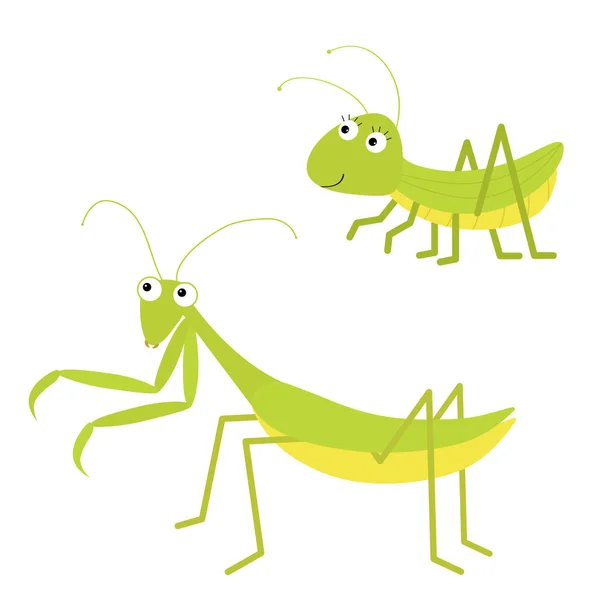 Mantis, konik polny zestaw ikon. Cute Cartoon Kawaii zabawny charakter. Zielony owad wyizolowany. Modląc się Mantid. Duże oczy. Uśmiechnięta twarz. Płaska konstrukcja. Baby clip art. Białe tło. — Wektor stockowy