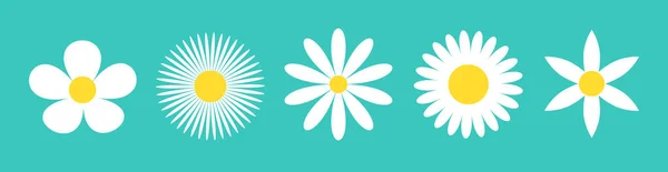 カモミール5個セット 白いデイジーカモミールアイコンライン かわいい丸い花の植物の自然コレクション 愛のカードのシンボル 成長する概念 装飾要素 フラットデザイン 緑の背景 隔離されてる ベクトル — ストックベクタ