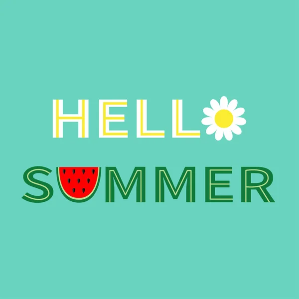 Hallo Sommertext Kamille Gänseblümchen Kamille Wassermelone Symbol Buchstabe Gesundes Essen — Stockvektor