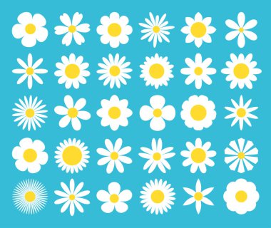 White daisy chamomile icon. Camomile super big set. Cute round flower plant nature collection. Love card symbol. Decoration element. Growing concept. Flat design. Blue background. Isolated. Vector clipart