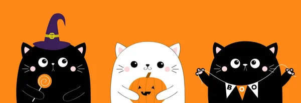 Kot Trzyma Słodycze Dynię Flagę Boo Wesołego Halloween Czarodziejska Czapka — Wektor stockowy