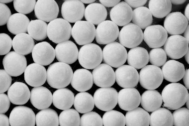 Pamuk tomurcuk biter