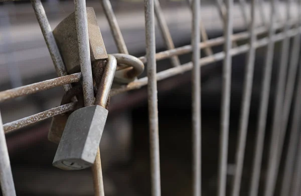 Padlocks on Fence — Stock Photo, Image