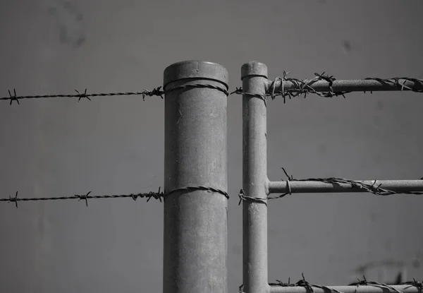 Barbed wire on fence — Zdjęcie stockowe