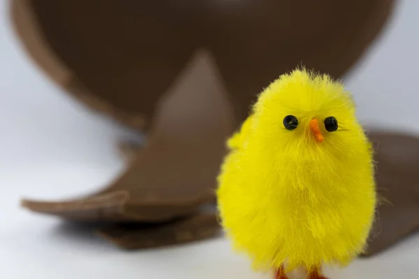 Easter Chick