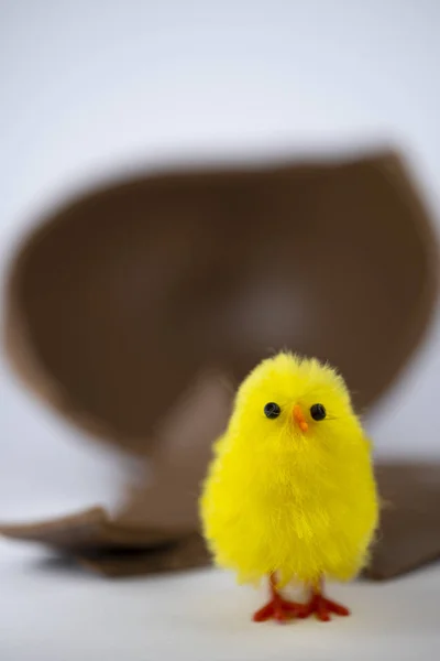 Великдень Chick — стокове фото