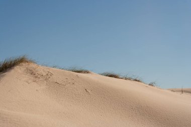 Kumul üzerinde çim