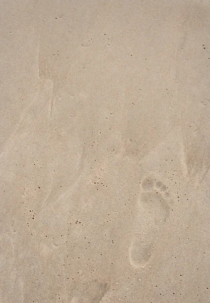 儿童脚在海滩 — 图库照片