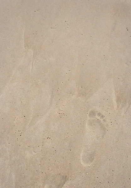 Niños pie en la playa — Foto de Stock