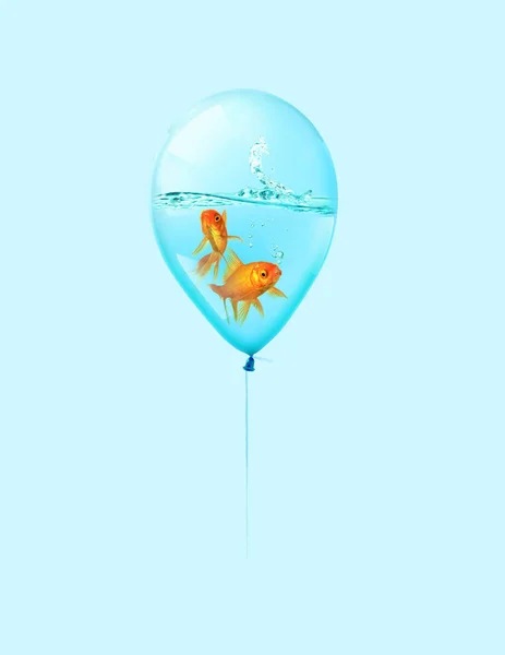 Los peces dorados vuelan en globo. Técnica mixta, Peces dorados nadando en blu —  Fotos de Stock