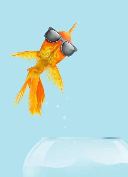 Ilustração 3D goldfish desgaste óculos de sol saltando a partir do fishbo — Fotografia de Stock