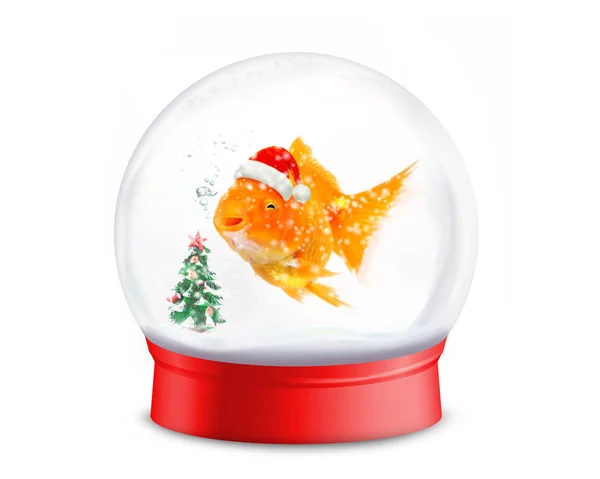 Beyaz arka planda kırmızı kartopu Noel ağacı ile bir Santa şapka giyen Smiley Goldfish