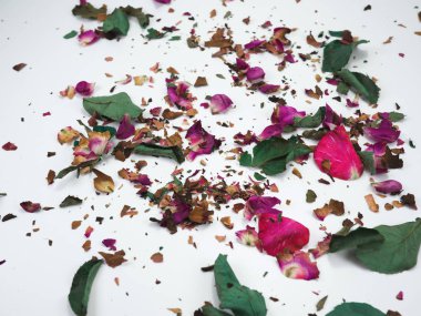 kurutulmuş gül çiçek baş beyaz arka plan kesme izole 