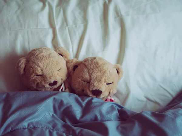 Two teddy bears in the bed, Teddy Bear Lovers. Valentine concept — Stock Photo, Image