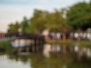 Parkta huzurlu bir ağaç hattı. Bulanık -lık