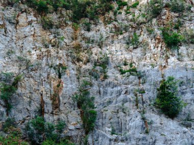 Kayalık dağların yüzeyi, Doku arka planı