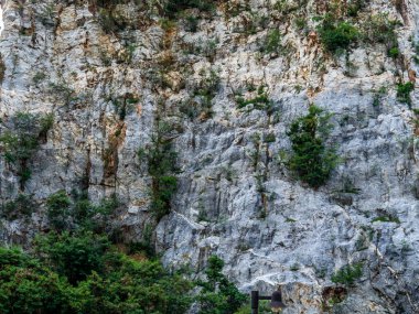 Kayalık dağların yüzeyi, Doku arka planı