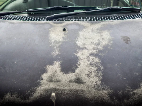 Soluk araba boyası, soyma boya yüzeyi, soyma işaretleri olan araçlar, güneş ay ve hava pas tarafından kullanılan boya araba