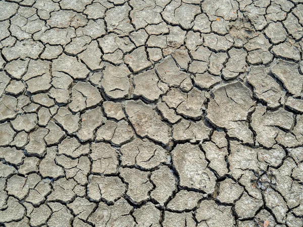 Dry earth covered with small cracks as drought and global warming concept. Cracked clay soil texture or ground pattern with cracks on surface top