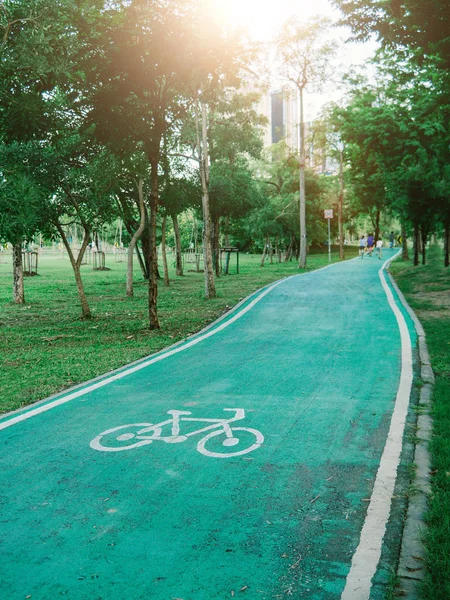 Vachirabenjatas Park'ta yeşil bisiklet yolu (Rot Fai Park), Bicyc