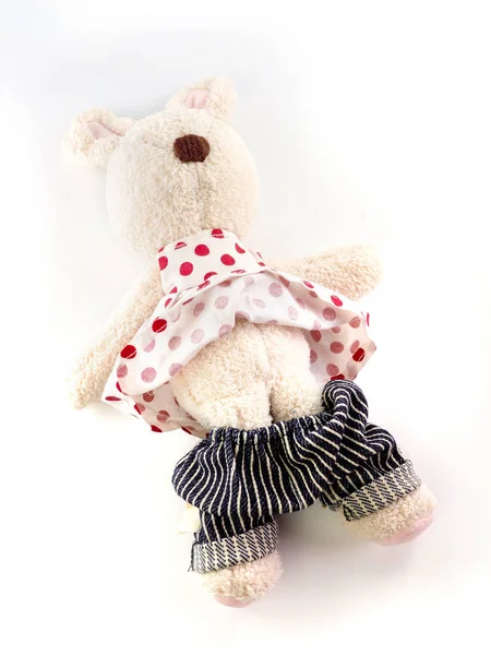 Rabbit doll that was stripped of clothes on white background. st — Stock Photo, Image