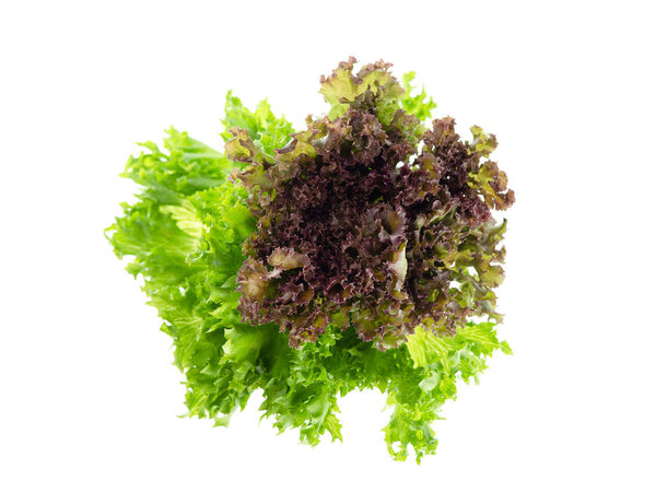 Salad leaf. Lettuce isolated on white background, Fresh and gree