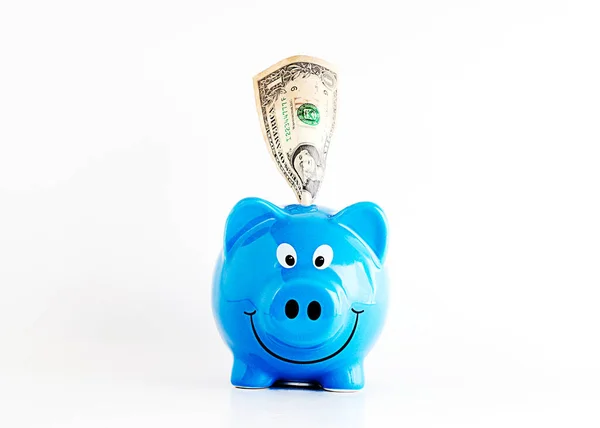 Horizontal Blue Piggy Bank Dollar Banknote Saving Money Concept — Stock Photo, Image