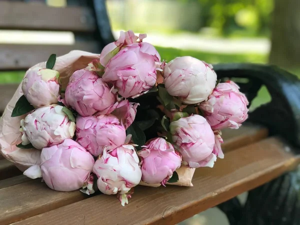 bir park bankı closeup pembe şakayık bir buket 