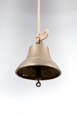 Geminin zili beyaz arka planda izole