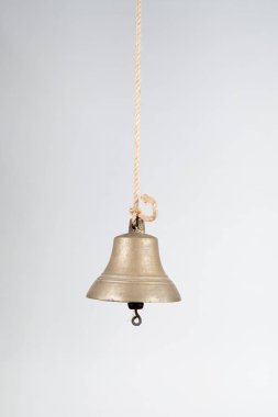 Geminin zili beyaz arka planda izole