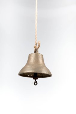 Geminin zili beyaz arka planda izole