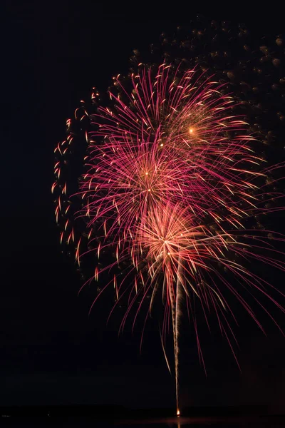 Kleur Fireworks op een donkere achtergrond — Stockfoto