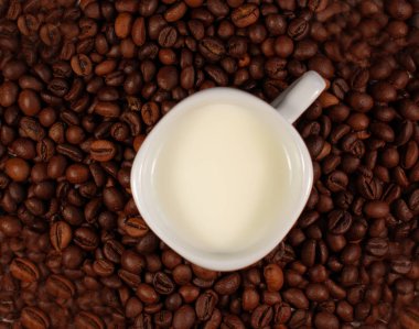 kahve çekirdekleri arasında süt ile beyaz fincan