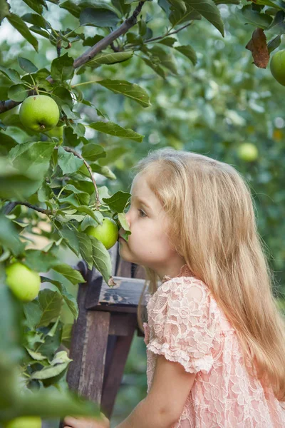 Schönes Kleines Mädchen Apfelgarten Auf Einer Gartentreppe Stehend — Stockfoto